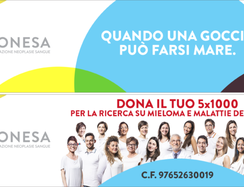 5 × 1000 a Fonesa, Fundación de neoplasias sanguíneas