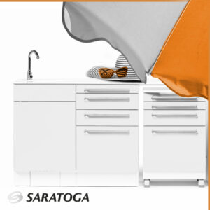 Saratoga e Anicecommunication