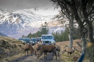 INEOS Grenadier 4x4 Expedition 1.0
