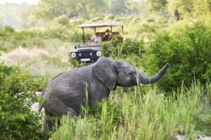 INEOS Grenadier Safari Vehicle by INEOS Kavango