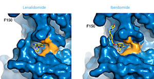 Mieloma Multiplo EMN26_Lenalidomide-vs-Iberdomide